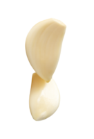 Side view of white peeled garlic clove in stack isolated with clipping path in file format png