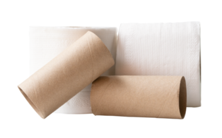 Two rolls of white tissue paper or toilet paper with cores in stack isolated with clipping path in file format png