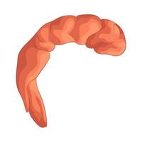 Fresh Headless Shrimp vector