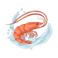 Fresh Shrimp from the Sea illustration vector