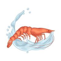 illustration of Fresh Shrimp from the Sea vector