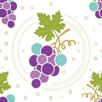 Seamless pattern of cute grapes and dot, white background vector