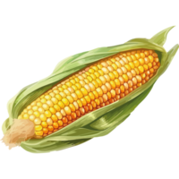 Corn on the cob png