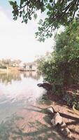 Beautiful lake garden with reflection video