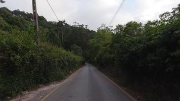 First person view, FPV, from dashcam of car driving along Sintra forest road Portugal video