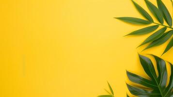 Bright Vibrant Yellow Background with Green Tropical Leaves Modern Minimalist Design Summer Vacation Theme, Botanical Elements Copy Space for Text or Design Nature Inspired Fresh and Lively Aesthetic photo