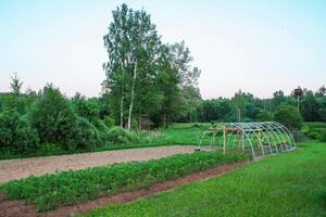 Landscape in the countryside. Scenic summer nature view in Latvia, East Europe. photo