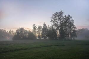 Evening mist on a field in countryside at summer. photo