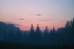 Evening mist on a field in countryside at summer. photo