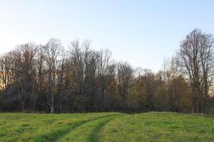 Scenic nature view. Autumn landscape in Latvia. photo