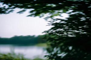 Lake water surface reflecting trees and plants. Photography with motion effect. photo