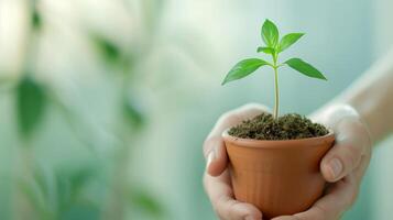 Hands Carefully Holding a Small Green Plant in a Clay Pot with Soft Focus Background Suggesting Gardening and Growth Concept photo