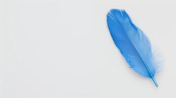 Bright Blue Feather on Minimalist White Background for Clean and Modern Design Concepts, Ideal for Nature and Bio Diversity Themes, High-Quality Close-Up Image for Advertising and Decorative Use photo