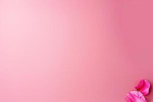 Pink background with delicate flowers arranged at the edge during daylight photo