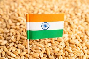 Grains wheat with India flag, trade export and economy concept. photo