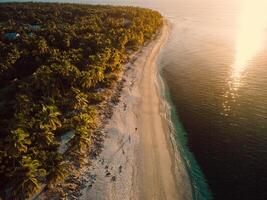 Sunset on Maldives beach with palms trees and ocean. Drone view photo