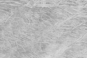 abstract texture surface background photo
