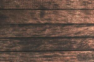 abstract texture tree surface background photo