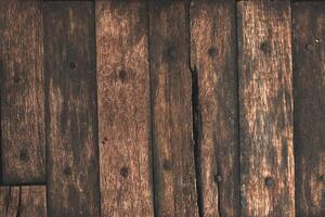 abstract texture tree surface background photo