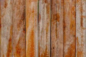 abstract texture tree surface background photo