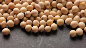 Soybean beans, closeup of soybeans, macro soybeans, soybean background video