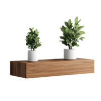 Simple Elegance Two potted plants adorn a wooden shelf, creating a minimalist and inviting atmosphere. png