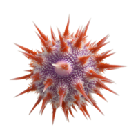 Explore the Beauty of Microscopic Life A Stunning Look at a Vibrant Microbe with Intricate Details and Texture png