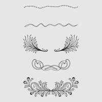 Victorian Style Patterns with Ornate Borders vector