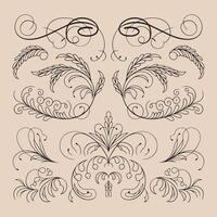 a set of ornaments designs vector