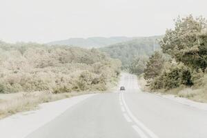 Empty Road Winding Through a Serene Forest photo