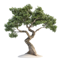 Tree on Transparent Background AI-Generative png