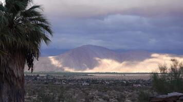 Shadows from the clouds in the Sierra Nevada Mountains, in the foreground a palm tree, California video