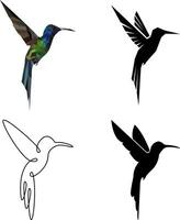 Colibri illustration with several styles vector