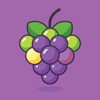 Fresh Grape Design vector