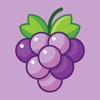 Grapes with Vine vector