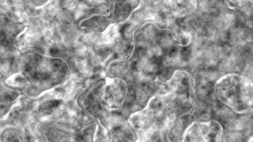 White and Black color complex textured abstract pattern fluid modern background video
