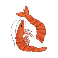 illustration of shrimp prawns vector