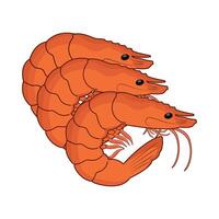 three shrimp illustration vector