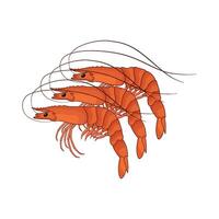 illustration of three shrimp vector