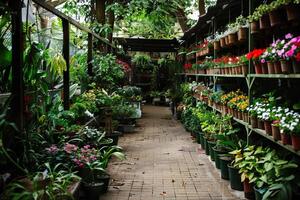 Colorful flowers and plants are arranged neatly along the pathways of a garden plant store photo