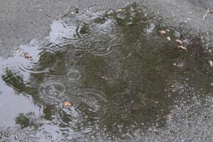 circles from raindrops puddle water during rain close-up of innacity photo