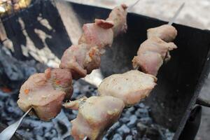 barbecued meat or grilled chicken skewer fried on charcoal rest in summer photo