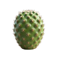 Prickly Pear Cactus with a Transparent Background, Isolated and Ready for Your Design Project png