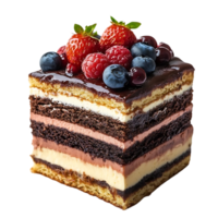 Delicious Chocolate Cake with Berries and Transparent Background png