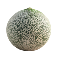 A Single, Ripe Cantaloupe Melon Isolated on a Transparent Background, Perfect for Summer Recipes and Refreshing Drinks png
