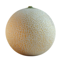 A Ripe Cantaloupe Melon with a Beautiful, Intricate, Textured Skin, Isolated on a Transparent Background png