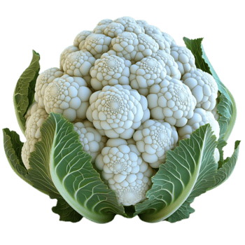 cavolfiore con verde le foglie su trasparente sfondo, frattale verdura con complesso struttura, bianca cavolfiore con spirali, cavolfiore con trasparente sfondo, verdura con spirali, cavolfiore con frattale modello, cavolfiore con spirale png