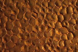A pique texture background features a subtly raised pattern with a soft, textured feel photo