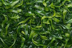 A vibrant seaweed texture background with interwoven strands and natural, organic patterns photo