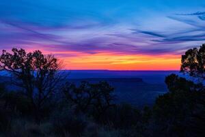 Vivid Sunset Through Silhouetted Trees photo